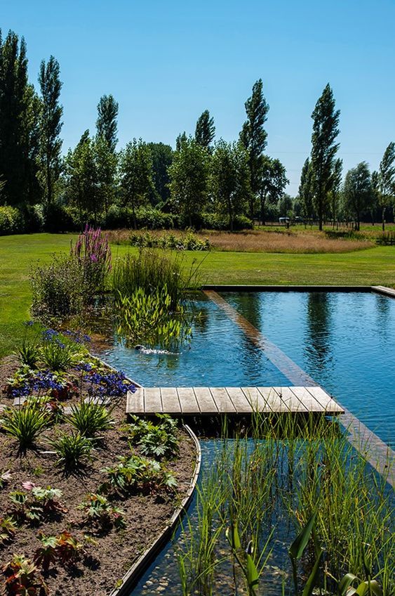 La piscine naturelle : conseils d'installation et d'entretien | Natural backyard pools, Ponds backyard, Natural swimming ponds