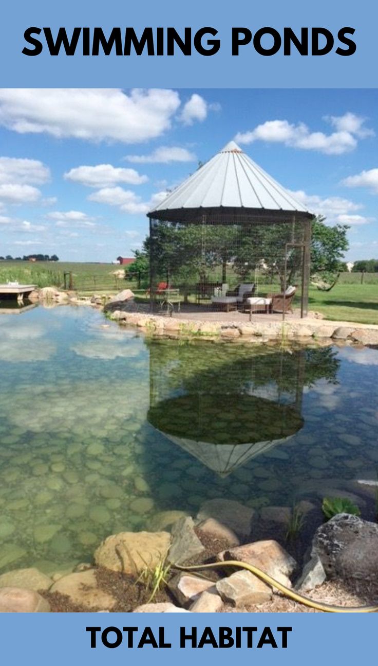 Rural Retreat Swimming Pond | Swimming pool pond, Swimming pond, Natural swimming ponds