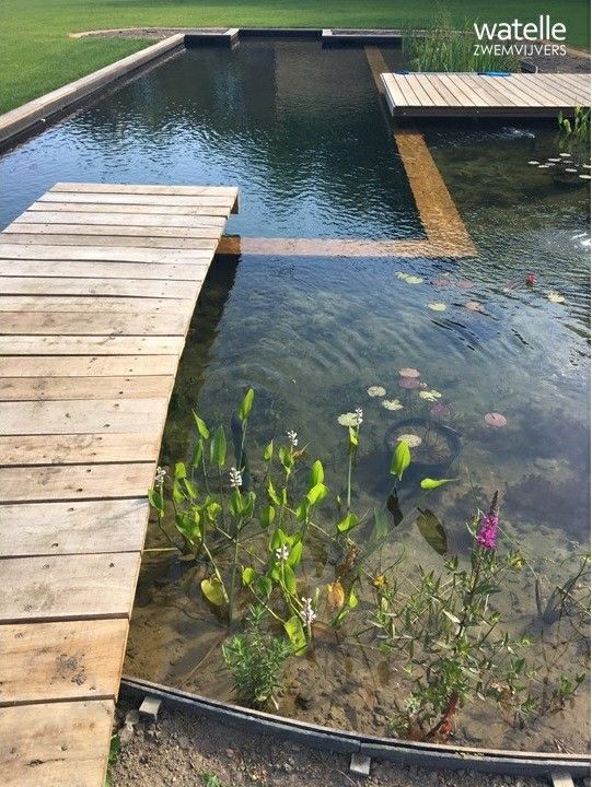 Pin van Koen Vanmeerbeek op tuin | Achtertuin vijvers, Natuur zwembaden, Tuin