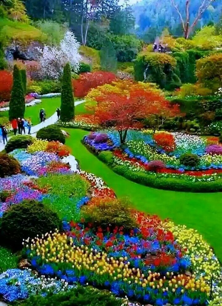 Beautiful Nature. | Most beautiful gardens, Beautiful gardens, Beautiful nature