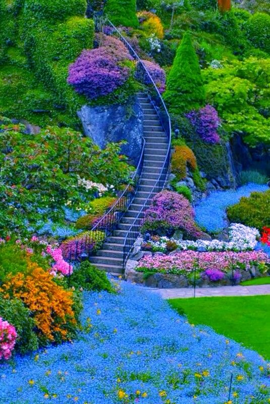 Pin by m i on Naturaleza | Beautiful gardens, Butchart gardens, Dream garden